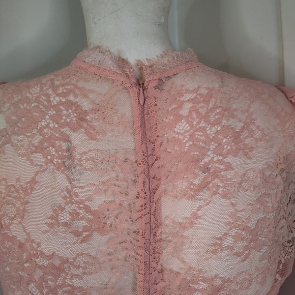 Astr Lacie Illusion Lace Bodysuit Dusty Pink Bustier M NEW - Picture 8 of 13